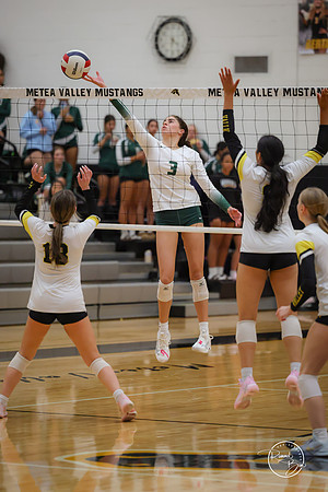 20251009 Metea Valley-106