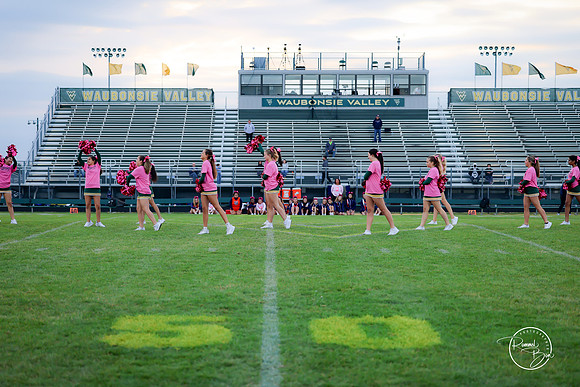 2025 JV Dance Team-2
