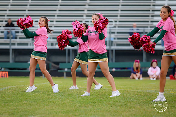 2025 JV Dance Team-5