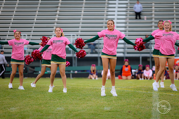 2025 JV Dance Team-8