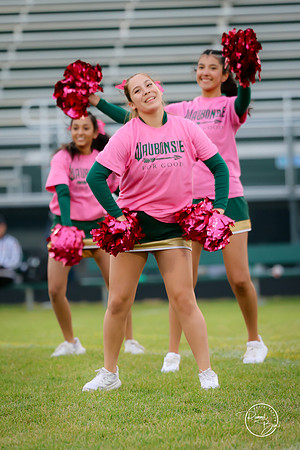 2025 JV Dance Team-29