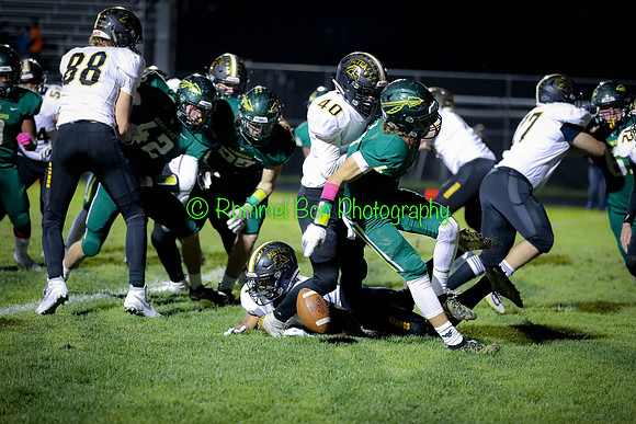 20191018 WV vs Metea Valley Football-3