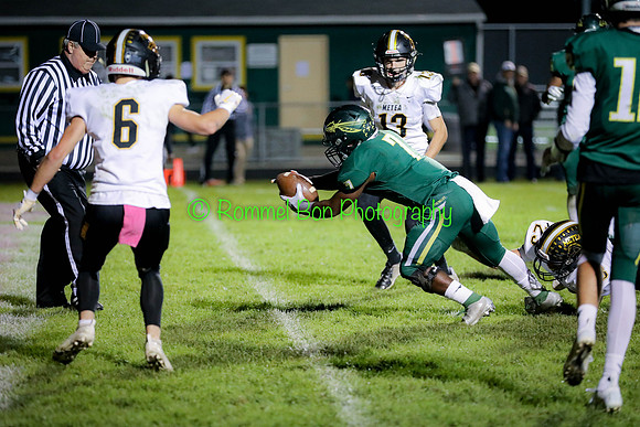 20191018 WV vs Metea Valley Football-60