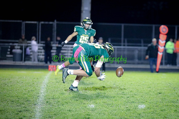20191018 WV vs Metea Valley Football-12