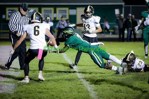 20191018 WV vs Metea Valley Football-61