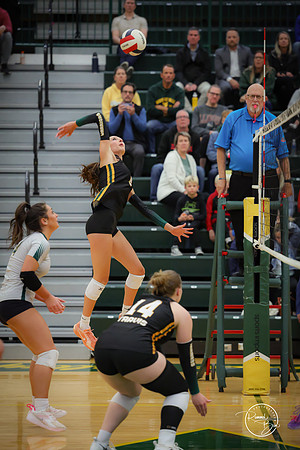 20251021 Naperville North-4