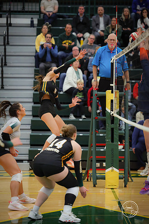 20251021 Naperville North-6