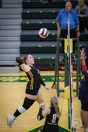 20251021 Naperville North-47