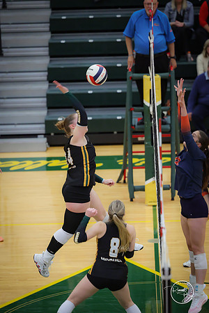 20251021 Naperville North-48