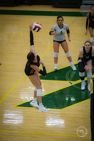 20251021 Naperville North-60