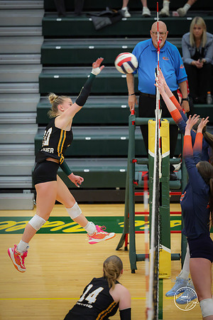 20251021 Naperville North-64