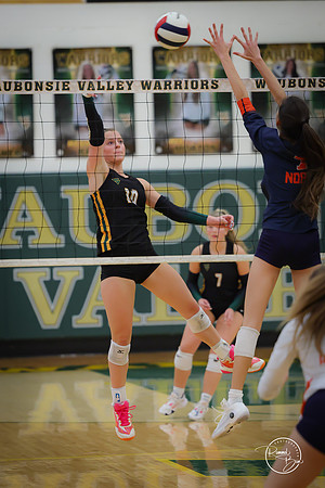 20251021 Naperville North-78