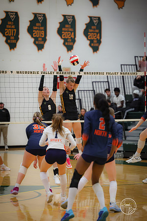 20251021 Naperville North-82