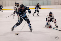 20251110 Naperville Varsity Game-12