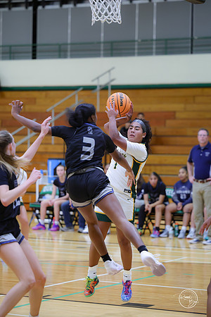 20251117 Oswego East-50