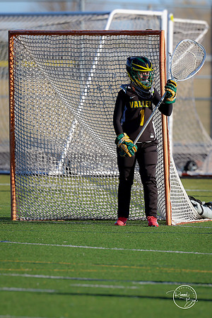 20250317 Lake Zurich JV-5