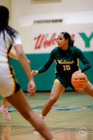 20251120 Glenbrook South-3