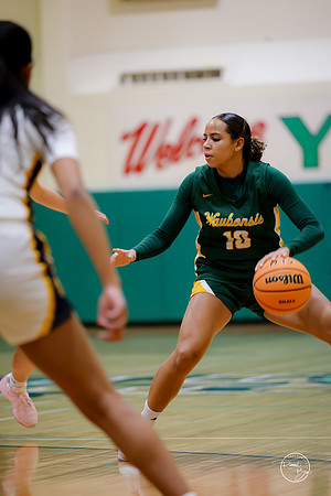 20251120 Glenbrook South-3
