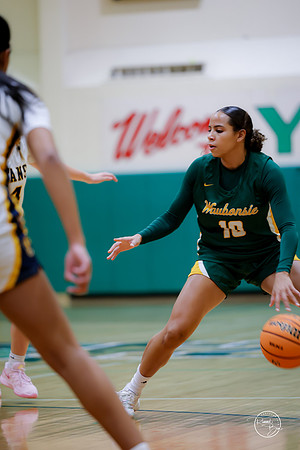 20251120 Glenbrook South-4