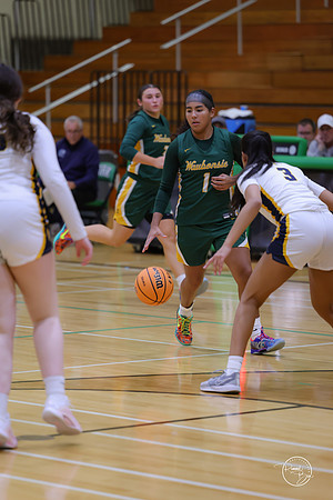 20251120 Glenbrook South-18