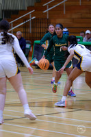 20251120 Glenbrook South-19
