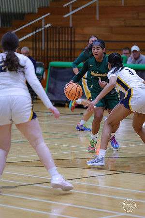 20251120 Glenbrook South-20