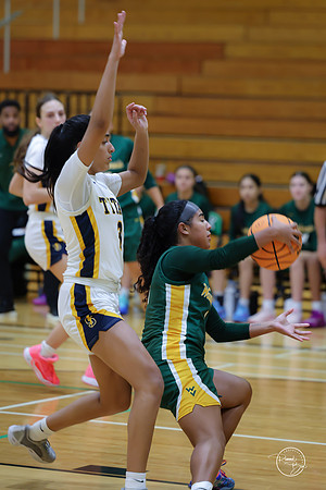 20251120 Glenbrook South-23
