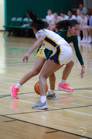 20251120 Glenbrook South-25
