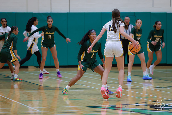 20251120 Glenbrook South-32