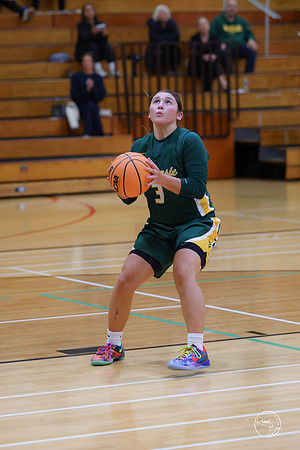 20251120 Glenbrook South-37