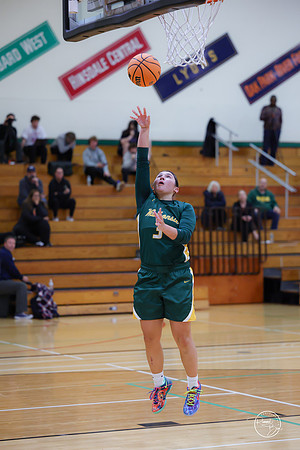 20251120 Glenbrook South-42