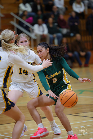20251120 Glenbrook South-47