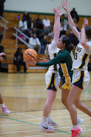 20251120 Glenbrook South-49