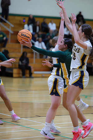 20251120 Glenbrook South-50