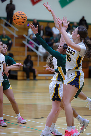 20251120 Glenbrook South-51