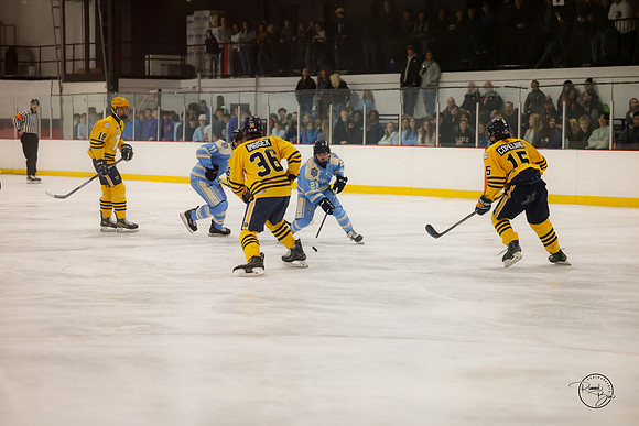 20251126 Carillon Cup-5