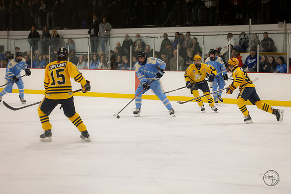 20251126 Carillon Cup-36