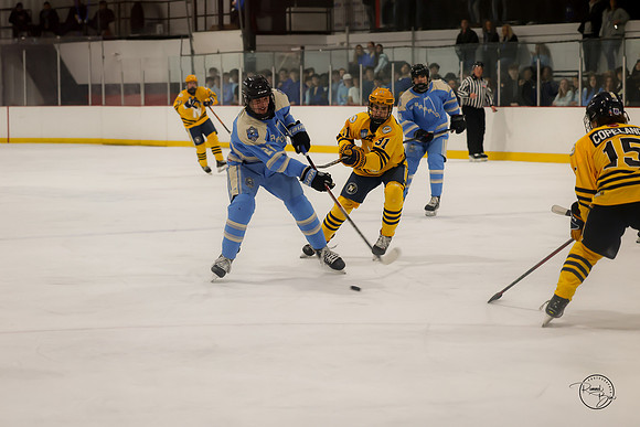 20251126 Carillon Cup-37