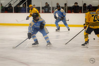 Carillon Cup    11/26/2025
