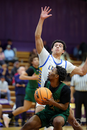 20251126 Lyons Township-27