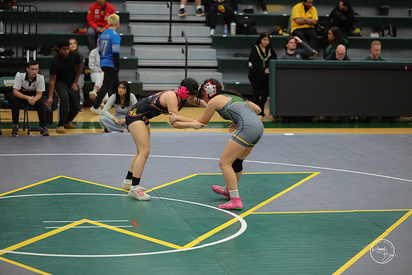 20251204 Metea Valley Girls-4