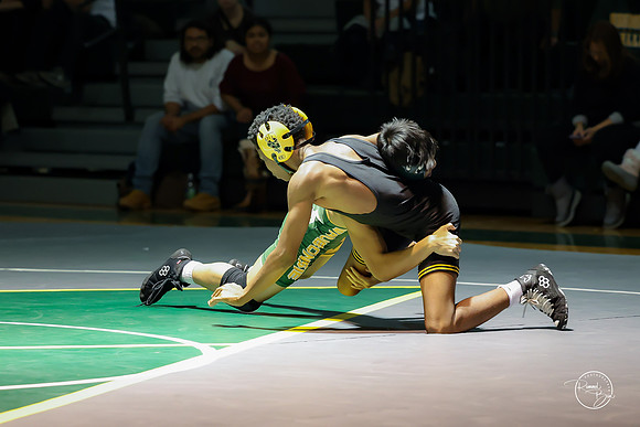 20251204 Metea Valley-10
