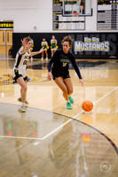 20251205 Metea Valley-4