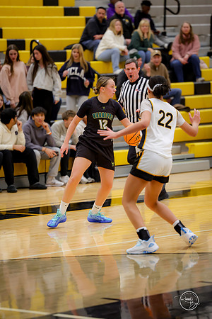20251205 Metea Valley-10