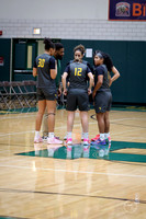 20251206 Homewood-Flossmore-3