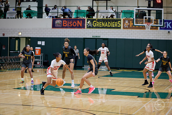 20251206 Homewood-Flossmore-5