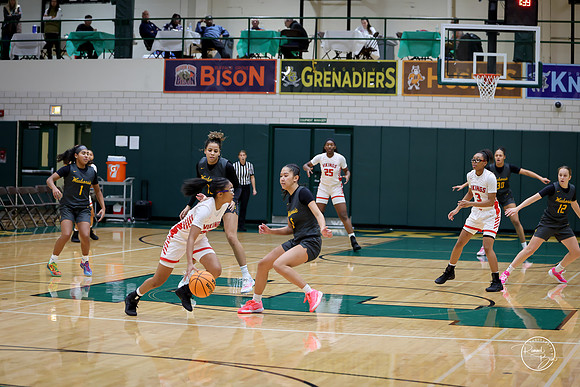 20251206 Homewood-Flossmore-6