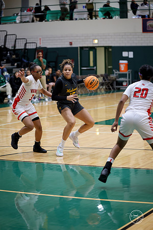 20251206 Homewood-Flossmore-9