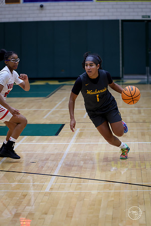 20251206 Homewood-Flossmore-10