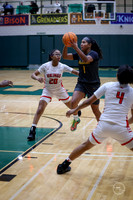 20251206 Homewood-Flossmore-11